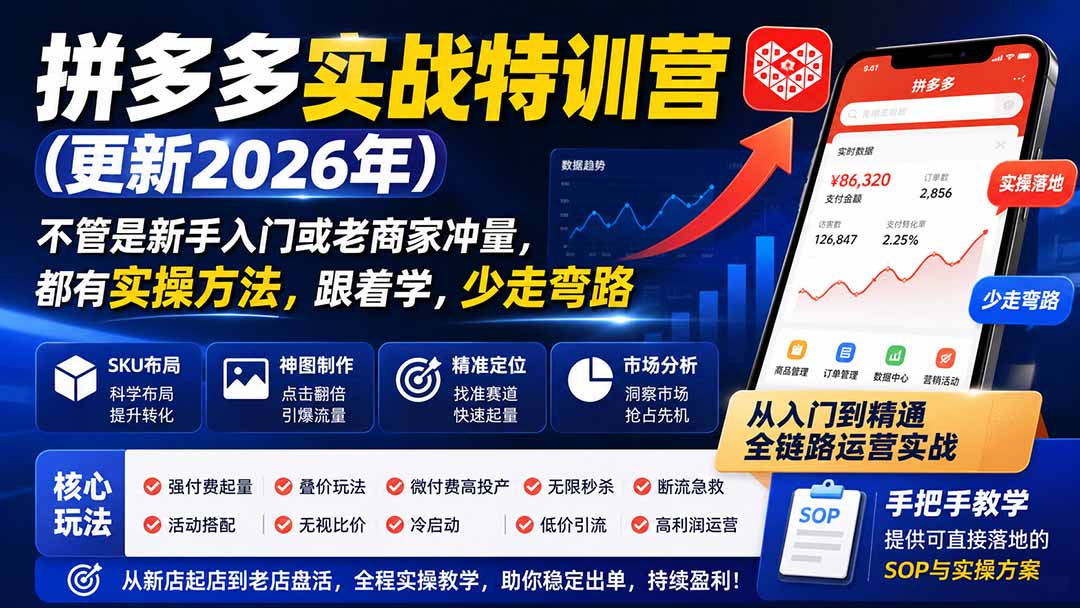 拼多多实战特训营(更新0920-站长V课
