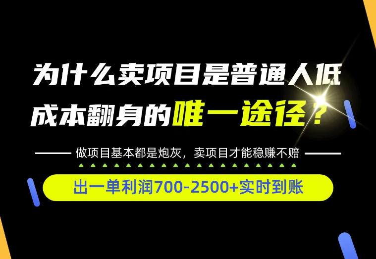 普通人如何靠互联网賺取自己的第一桶金！全类目实操型教学，看完你全都懂了！【揭秘】-站长V课