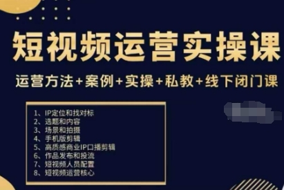 短视频运营实操课,运营方法+案例+实操+私教+线下闭门课-站长V课