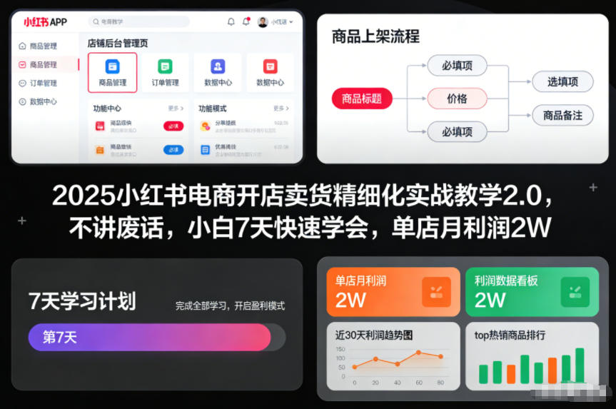 2025小红书电商开店卖货精细化实战教学2.0,不讲废话,小白7天快速学会,单店月利润2W