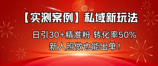 【实测案例】私域新玩法,日引30+精准粉,转化率50%,新人照做也能出单!-站长V课
