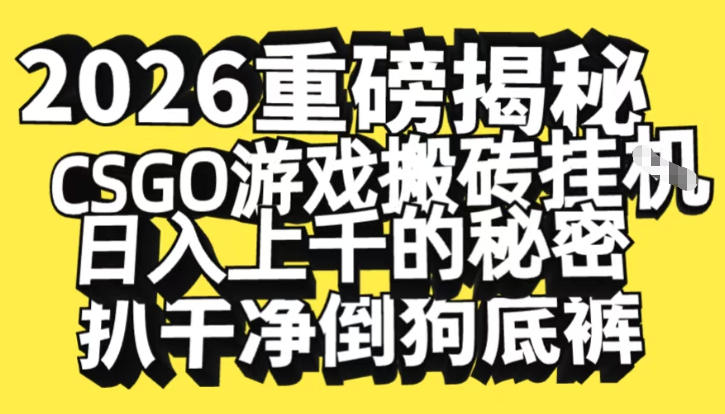 2026开年重磅解密，CSGO游戏搬砖挂G日入1k+的秘密，把倒狗的底裤扒干【揭秘】