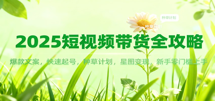 2025短视频带货全攻略:爆款文案,快速起号,种草计划,星图变现,新手零门槛上手-站长V课
